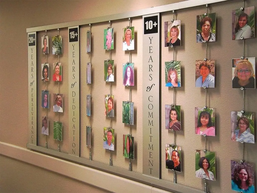 T2002 — Recognition Wall Display Suspended with Vertical Rod System and Wall Tracks