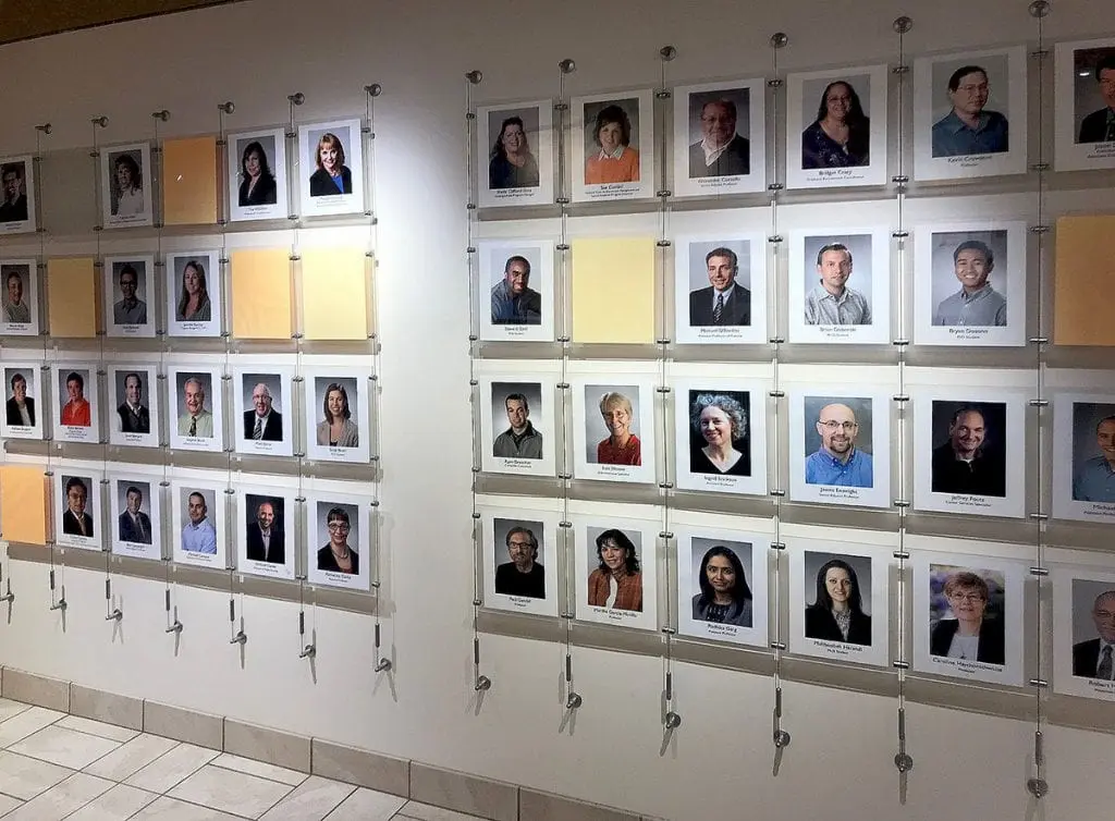 C1401 — Employee Recognition Wall Display / Cable Suspended Display